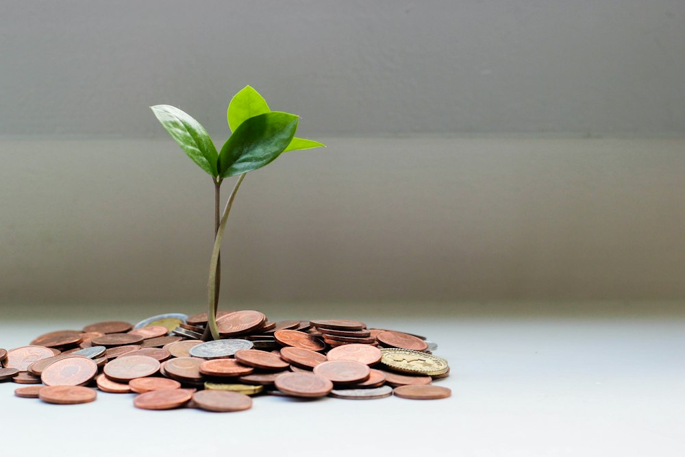 Planning household finances